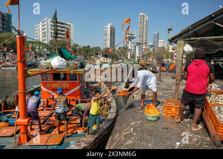 Mumbai, Inde - 8 mars 2024 : pêcheurs au quai de Sassoon dans le district de Colaba à Mumbai, Inde. Banque D'Images