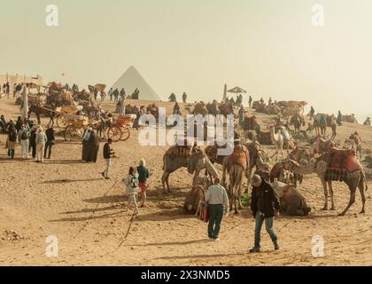 Gizeh Égypte janvier 2024 : agitation aux pyramides de Gizeh Banque D'Images