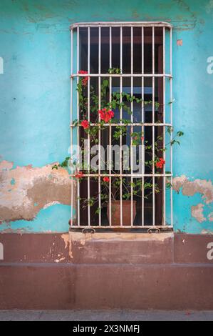 Grilles métalliques sur les fenêtres de maisons anciennes dans les ruelles de Trinidad, Cuba. Banque D'Images