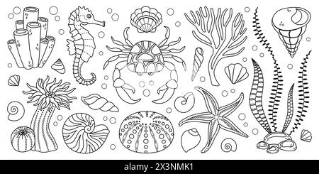 Ensemble d'éléments SEA LIFE dessinés au trait à la main. Animaux aquatiques, anémones, crabe, algues, coquillages, étoile de mer, cheval de mer. Livre de coloriage écosystémique sous-marin de style doodle à la mode. Illustration vectorielle Illustration de Vecteur