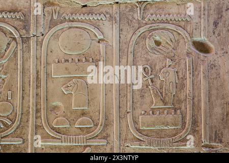 Les cartouches des pharaons égyptiens Ramsès Ier et de son fils Seti Ier à la fin de la liste du Roi Abydos au Temple de Seti Ier à Abydos, Egypte Banque D'Images
