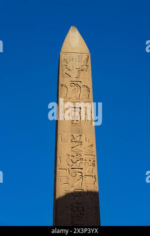 Obélisque de Ramsès II, Temple de Louxor, Louxor, Égypte Banque D'Images