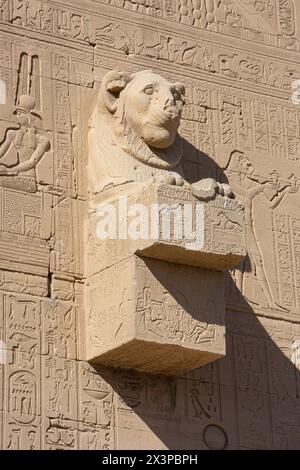 Statue d'un lion sur le complexe du temple de Dendera en haute-Égypte Banque D'Images