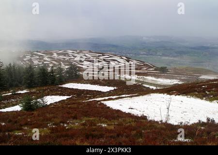 Sentier jusqu'à Moel Fammau, Mold, pays de Galles Banque D'Images