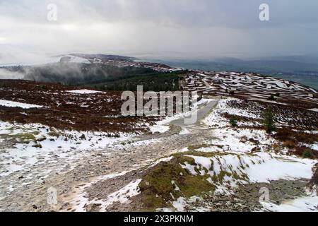 Sentier jusqu'à Moel Fammau, Mold, pays de Galles Banque D'Images