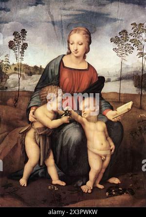 RAFFAELLO Sanzio (1483, Urbino, d. 1520, Roma) Madonna del Cardellino 1507 huile sur bois, 107 x 77 cm Galleria degli Uffizi, Florence la Vierge de l'Goldfinch, un des panneaux florentins de Raphaël, il a été peint par Raphaël pour le mariage de son ami Lorenzo Nasi et Sandra di Matteo di Giovanni Canigiani. Elle a été gravement endommagée suite à l'effondrement partiel de la maison Nasi en 1547, comme mentionné par Vasari. Il a ensuite été restauré par Ridolfo del Ghirlandaio, le fils de l'artiste profondément influencé par Raphaël. Le Christ enfant caresse amoureusement un fouet d'or que le garçon Banque D'Images