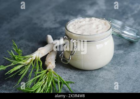 Sauce au raifort faite à la main dans un bocal avec une cuillère sur le dessus, racines de raifort sur un fond gris. Nourriture végétalienne saine, ingrédients naturels. Banque D'Images