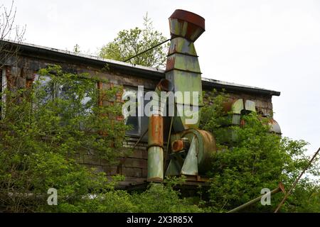 Abandonnée favoritisme que la nature se réclame maintenant Banque D'Images