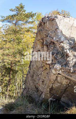 Gros vieux morceau de béton avec barre d'armature saillante dans la forêt. Banque D'Images