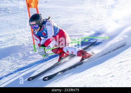 Zauchensee, Salzbourg. 14 janvier 2024. ZAUCHENSEE, SALZBOURG - 13 JANVIER : Sabrina Maier d'Autriche pendant la Coupe du monde Audi Audi FIS de ski alpin - descente féminine Zauchensee le 13 janvier 2024 à Zauchensee, Salzbourg.240113 SEPA 12 050 - 20240114 PD30278 crédit : APA-PictureDesk/Alamy Live News Banque D'Images