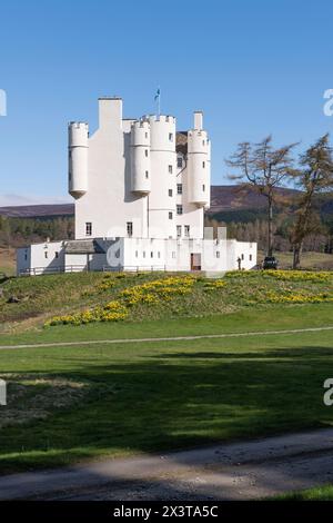 Château de Braemar, une attraction touristique historique à Royal Deeside, avec une exposition colorée de jonquilles par un matin de printemps lumineux Banque D'Images