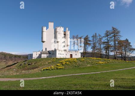 Printemps au château de Braemar dans les Highlands écossais, avec le domaine plein de jonquilles en fleurs Banque D'Images