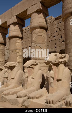 Sphinx à tête de RAM, Grande Cour, complexe du temple de Karnak, site du patrimoine mondial de l'UNESCO, Louxor, Égypte Banque D'Images