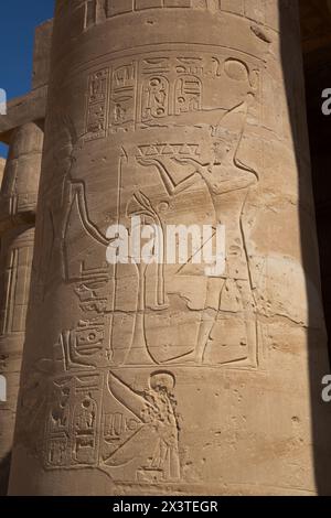 Colunms, Hypostyle Hall, Ramesseum, Temple mémorial du Pharaon Ramsès II, (13ème siècle av. J.-C.), Thèbes antiques, site du patrimoine mondial de l'UNESCO, Louxor, Egyp Banque D'Images