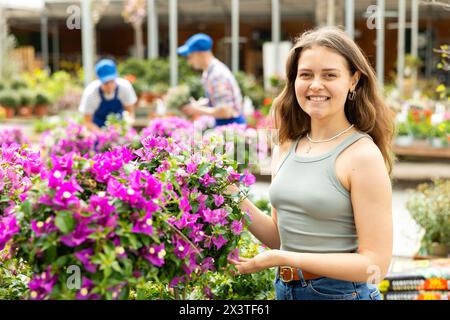 Dans le magasin de fleurs, la fille choisit la plante Bougainvillea en fleurs pour le décor de jardin extérieur Banque D'Images