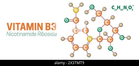 Illustration de la molécule de riboside de nicotinamide de vitamine B3 Illustration de Vecteur