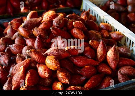 Photo plein cadre de fruits Zalacca mûrs à vendre sur le marché Banque D'Images