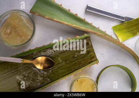 Aloe Vera Making - Aloe Vera crue biologique maison cosmétiques, boissons et nourriture. Les mains des femmes dans le pic disséquent et coupent une feuille d'aloès, faisant, pressant Banque D'Images