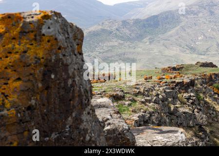 Vieux rochers et pierres dans le monastère de Saro, Géorgie Banque D'Images