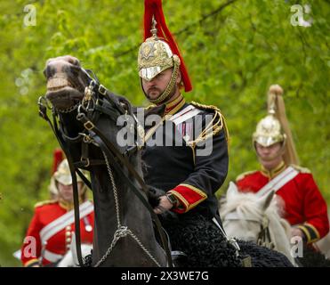 Les chevaux ont besoin d'un contrôle minutieux ; la semaine précédente, certains chevaux avaient traversé le centre de Londres. L'inspection annuelle du Household Cavalry Mounted Regiment par le major général est le test ultime pour l'unité cérémonielle la plus spectaculaire et la plus exigeante de l'armée britannique. C'est un test qu'ils doivent réussir pour participer aux prochaines cérémonies d'État. Environ 170 chevaux et membres du personnel du Household Cavalry Mounted Regiment quittent la caserne de Knightsbridge et se dirigent vers la zone de « Football Pitch » de Hyde Park pour se former et être inspectés par l’officier général commandant la maison Banque D'Images