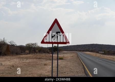 Panneau d'avertissement de phacochère en Namibie Banque D'Images