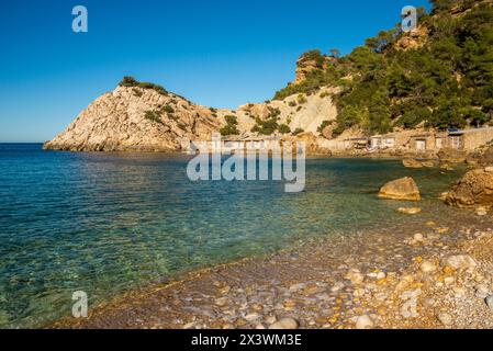 Es Portitxol Cove, Sant Joan de Labritja, Ibiza, Îles Baléares, Espagne Banque D'Images