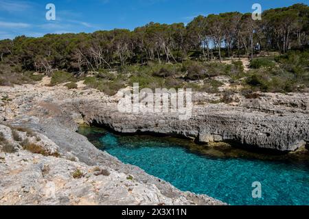 Caló d'en Perdiu, Parc naturel de Mondragó, zone municipale de Santanyí, Majorque, Îles Baléares, Espagne Banque D'Images