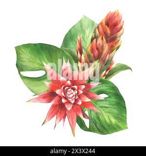 Arrangement tropical avec fleur rouge broméliade, bourgeons, feuille d'anthurium de palmier, feuilles de plante d'accueil exotique verdure de la jungle méridionale clipart floral Banque D'Images