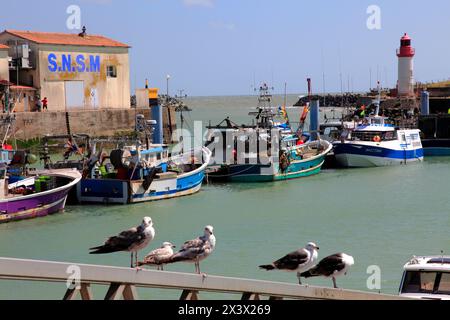France, Nouvelle Aquitaine, Charente maritime (17), Oléron Island, Saint Pierre d'Oléron, port de pêche de la Cotinière Banque D'Images