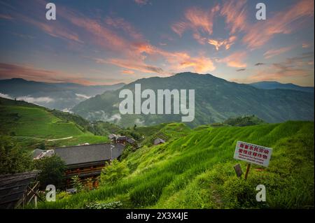 S'il vous plaît respecter les terres des agriculteurs à Longsheng Rice Terrace, Dragon's Backbone, Longji, Chine. Banque D'Images