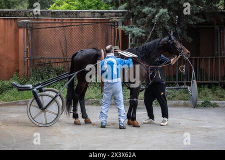Un cheval est en préparation pour la course Banque D'Images