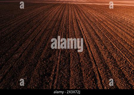 Vue aérienne d'un champ agricole labouré avec crête et sillon à partir du pov du drone, vue en angle élevé Banque D'Images