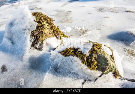 Norvège, ville de Tromso, Île de Senja, gros plan de la glace sur les flancs d'un fjord Banque D'Images