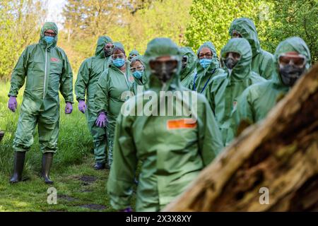 Hattingen, Allemagne. 29 avril 2024. Vétérinaires et aides en action lors d'un exercice de lutte contre les maladies animales. En coopération avec d'autres districts, le district d'Ennepe-Ruhr répète ce qu'il faut faire en cas d'épidémie de grippe aviaire. Crédit : Christoph Reichwein/dpa/Alamy Live News Banque D'Images