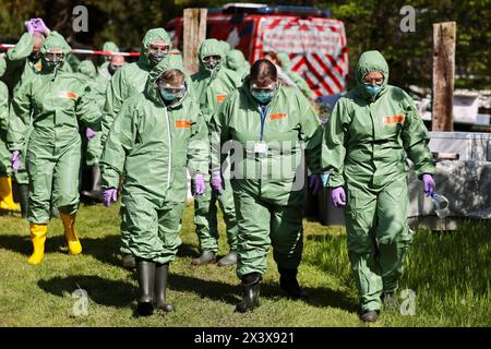 Hattingen, Allemagne. 29 avril 2024. Vétérinaires et aides en action lors d'un exercice de lutte contre les maladies animales. En coopération avec d'autres districts, le district d'Ennepe-Ruhr répète ce qu'il faut faire en cas d'épidémie de grippe aviaire. Crédit : Christoph Reichwein/dpa/Alamy Live News Banque D'Images