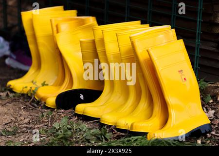 Hattingen, Allemagne. 29 avril 2024. Les bottes en caoutchouc sont alignées pendant un exercice de lutte contre les maladies animales. En coopération avec d'autres districts, le district d'Ennepe-Ruhr répète ce qu'il faut faire en cas d'épidémie de grippe aviaire. Crédit : Christoph Reichwein/dpa/Alamy Live News Banque D'Images