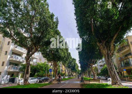 Tel-Aviv, Israël - 25 avril 2024 : scène du boulevard Chen, avec des arbres, des habitants et des visiteurs, à tel-Aviv, Israël Banque D'Images