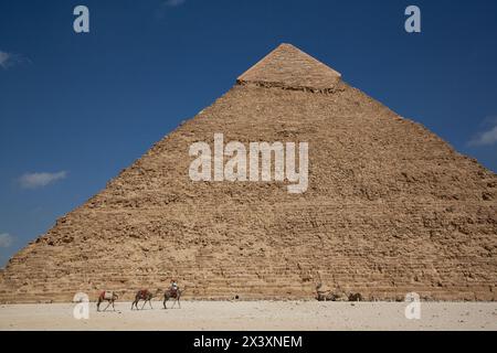 Homme aux chameaux, Pyramide de Khafre (également appelé Chephren) (arrière-plan), complexe pyramidal de Gizeh, site du patrimoine mondial de l'UNESCO, Gizeh, Egypte Banque D'Images