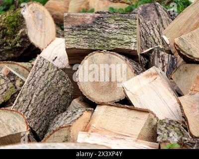 Exploitation forestière, blocs de bois, ressource renouvelable pour le bois de chauffage. Durabilité, protection du climat, avantages écologiques et importance économique. Banque D'Images