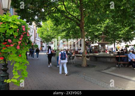 France, Grand-est, Bas Rhin (67) Alsace, Haguenau, place de la République Banque D'Images