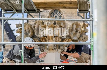 Die Steinmetzmeister Norman Hein und Markus Funke von der Firma Nuethen Nüthen Restaurierungen aus Erfurt arbeiten am 29.04.2024 am unteren Teil einer Kreuzblume am Magdeburger Dom. Teil der Sanierungsarbeiten ist die Sanierung der doppelten Kreuzblume als oberer Abschluss, die fuer entsprechende Restaurierungsarbeiten vor CA. Einem Jahr abgenommen wurde. Der obere Teil und der Fuss der Kreuzblume wurden im Zuge der Arbeiten erneuert, da sie zu stark geschaedigt waren. Der grosse, mittlere Teil konnte erhalten werden. Insgesamt erfolgt eine statische Stabilisierung der Bekroenung. Par Kran wur Banque D'Images