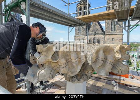 Die Steinmetzmeister Norman Hein und Markus Funke von der Firma Nuethen Nüthen Restaurierungen aus Erfurt arbeiten am 29.04.2024 am unteren Teil einer Kreuzblume am Magdeburger Dom. Teil der Sanierungsarbeiten ist die Sanierung der doppelten Kreuzblume als oberer Abschluss, die fuer entsprechende Restaurierungsarbeiten vor CA. Einem Jahr abgenommen wurde. Der obere Teil und der Fuss der Kreuzblume wurden im Zuge der Arbeiten erneuert, da sie zu stark geschaedigt waren. Der grosse, mittlere Teil konnte erhalten werden. Insgesamt erfolgt eine statische Stabilisierung der Bekroenung. Par Kran wur Banque D'Images