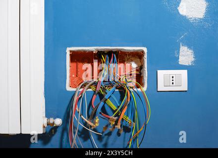 Câbles électriques colorés sortant d'une boîte de jonction ouverte, lors de la rénovation d'un appartement. Câbles électriques sortant du pi ondulé Banque D'Images