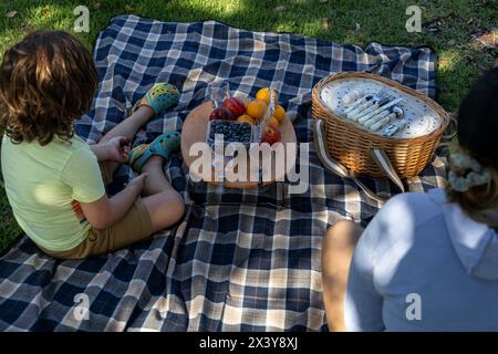Journée pique-nique en famille au parc, nappe à carreaux sur pelouse, panier pique-nique, fruits, biscuits et eau Banque D'Images