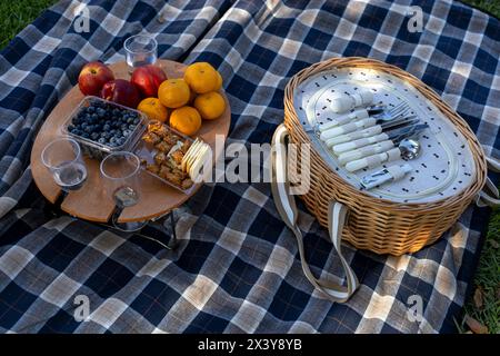 Nappe à carreaux sur la pelouse avec panier avec couverts de pique-nique, fruits, biscuits et eau Banque D'Images