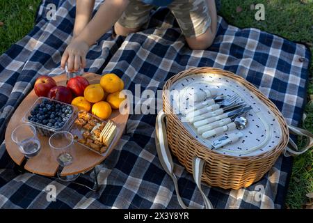 Journée pique-nique en famille au parc, nappe à carreaux sur pelouse, panier pique-nique, fruits, biscuits et eau Banque D'Images