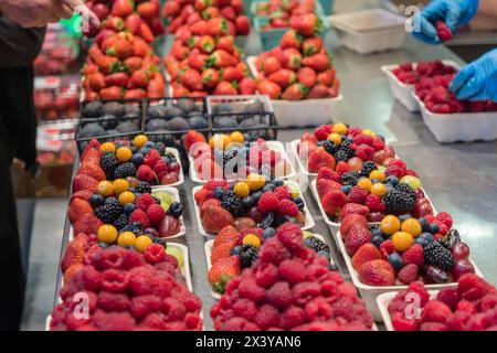 10 août 2023-Vancouver, C.-B., Canada-gros plan sur des boîtes de baies biologiques fraîches colorées exposées dans un marché de producteurs. Banque D'Images