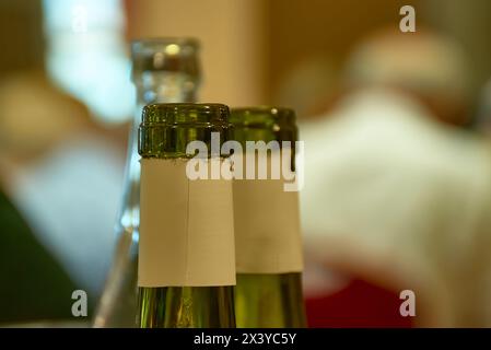 Des bouteilles de vin en verre vert vide isolated on white Banque D'Images