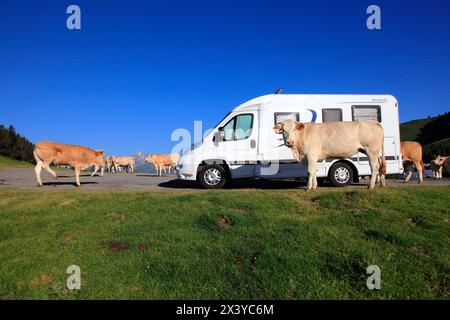 France, occitanie, département des Hautes Pyrénées (65), col d'Aspin Banque D'Images
