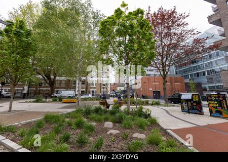 Fleet Valley Pocket Park, WC1 conçu pour capturer le débit d'eau de surface dans une zone qui était auparavant complètement pavée. Banque D'Images
